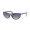 Ray-Ban RB 4453 60154L Güneş Gözlüğü