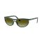 Ray-Ban RB 4453 6016E8 Güneş Gözlüğü
