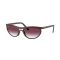 Ray-Ban RB 4453 64458H Güneş Gözlüğü