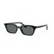 Ray-Ban RB 4456 667781 Güneş Gözlüğü