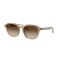 Ray-Ban RB 4459D 616613 Güneş Gözlüğü