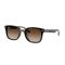 Ray-Ban RB 4461D 710/13 Güneş Gözlüğü