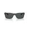 Arnette AN 4185 447/87 Güneş Gözlüğü
