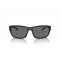 Arnette AN 4256 01/81 Güneş Gözlüğü