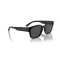 Arnette AN 4325 290087 Güneş Gözlüğü