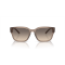Arnette AN 4325 290613 Güneş Gözlüğü