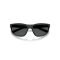 Arnette AN 4351 290087 Güneş Gözlüğü