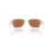 Arnette AN 4353 2977Y7 Güneş Gözlüğü