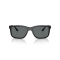 Arnette AN 4359 290081 Güneş Gözlüğü