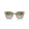 Giorgio Armani AR 8223 61618E Güneş Gözlüğü