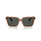 Armani Exchange AX 4147S 835887 Güneş Gözlüğü