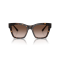 Dolce & Gabbana DG 4384 502/13 Güneş Gözlüğü