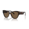 Dolce & Gabbana DG 4449 502/73 Güneş Gözlüğü