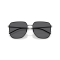 Emporio Armani EA 2135D 300381 Güneş Gözlüğü