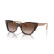 Emporio Armani EA 4176 587913 Güneş Gözlüğü