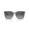 Emporio Armani EA 4206D 5029T3 Güneş Gözlüğü