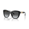 Emporio Armani EA 4214U 50178G Güneş Gözlüğü