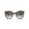 Emporio Armani EA 4214U 605811 Güneş Gözlüğü