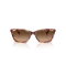 Emporio Armani EA 4238 619674 Güneş Gözlüğü