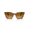 Emporio Armani EA 4250U 62682L Güneş Gözlüğü