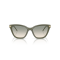 Emporio Armani EA 4251 62642C Güneş Gözlüğü