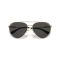 Jimmy Choo JC 4002B 300687 Güneş Gözlüğü