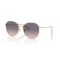 Jimmy Choo JC 4007BD 300636 Güneş Gözlüğü