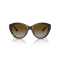 Jimmy Choo JC 5007 5002T5 Güneş Gözlüğü