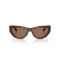 Jimmy Choo JC 5034BU 500273 Güneş Gözlüğü