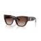 Jimmy Choo JC 5039BU 500213 Güneş Gözlüğü