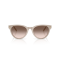 Jimmy Choo JC 5043D 50333B Güneş Gözlüğü