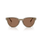 Jimmy Choo JC 5043D 505173 Güneş Gözlüğü