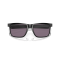 Oakley OO 4123 412311 Güneş Gözlüğü