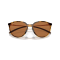 Oakley OO 9288 928803 Güneş Gözlüğü