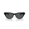 Oliver Peoples OV 5541SU 1005P2 Güneş Gözlüğü