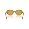 Oliver Peoples OV 5565SU 17830F Güneş Gözlüğü
