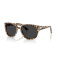 Persol PO 3366S 105648 Güneş Gözlüğü, Polarize: Evet, Ekartman: 58