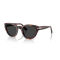 Persol PO 3379S 24/48 Güneş Gözlüğü, Polarize: Evet, Ekartman: 54