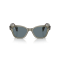 Ray-Ban RB 0880S 66353R Güneş Gözlüğü