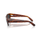 Ray-Ban RB 0947S 954/48 Güneş Gözlüğü