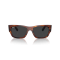 Ray-Ban RB 0947S 954/48 Güneş Gözlüğü
