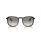 Ray-Ban RB 2203 901/32 Güneş Gözlüğü, Ekartman: 52