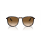Ray-Ban RB 2203 902/51 Güneş Gözlüğü, Ekartman: 55