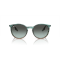 Ray-Ban RB 2204 1394GK Güneş Gözlüğü, Ekartman: 51