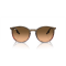 Ray-Ban RB 2204 13953B Güneş Gözlüğü, Ekartman: 51