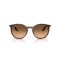 Ray-Ban RB 2204 14293B Güneş Gözlüğü, Ekartman: 51