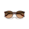Ray-Ban RB 2204 14293B Güneş Gözlüğü, Ekartman: 54