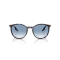 Ray-Ban RB 2204 14303F Güneş Gözlüğü, Ekartman: 54