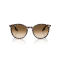Ray-Ban RB 2204 143151 Güneş Gözlüğü, Ekartman: 51