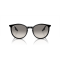 Ray-Ban RB 2204 901/32 Güneş Gözlüğü, Ekartman: 51